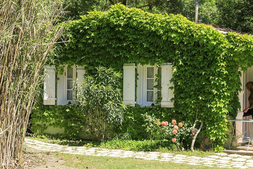 Les Gites Du Domaine De Rhodes Avignon Quarto foto